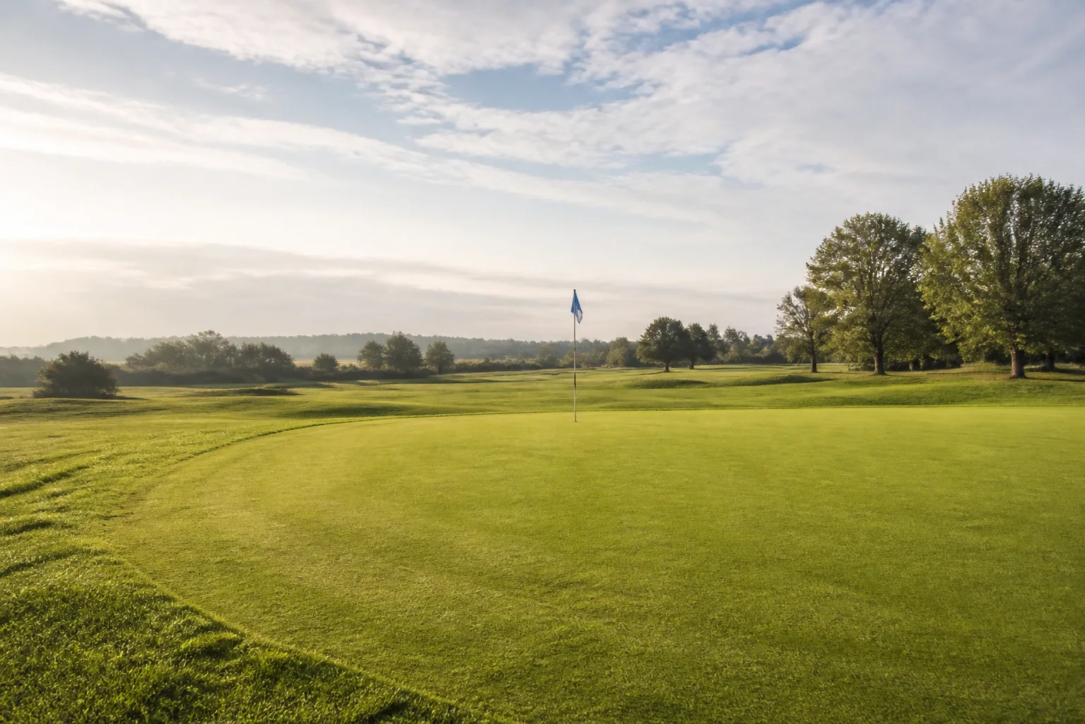 An open putting green with a flag in the distance